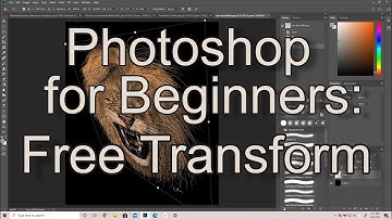 Photoshop Tutorial for Beginners: Free Transform