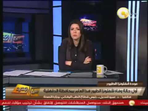عمرو قنديل