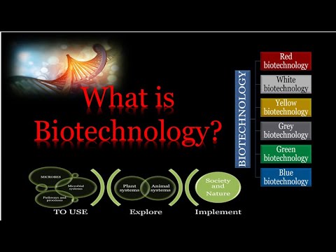 Why Do You Need To Know About Biotechnology