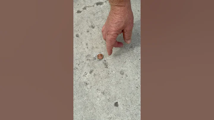 9 cents short ! #walking #exercise