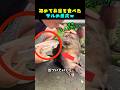 初めて弁当を食べたサル まさかの反応ｗ