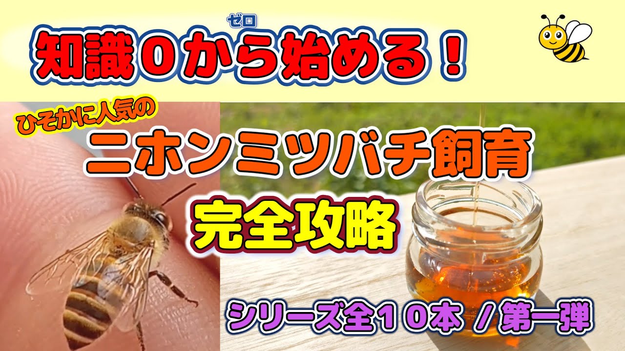 A must-see for beginners! A complete guide to Japanese honeybee