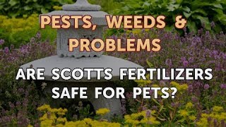 Are Scotts Fertilizers Safe for Pets