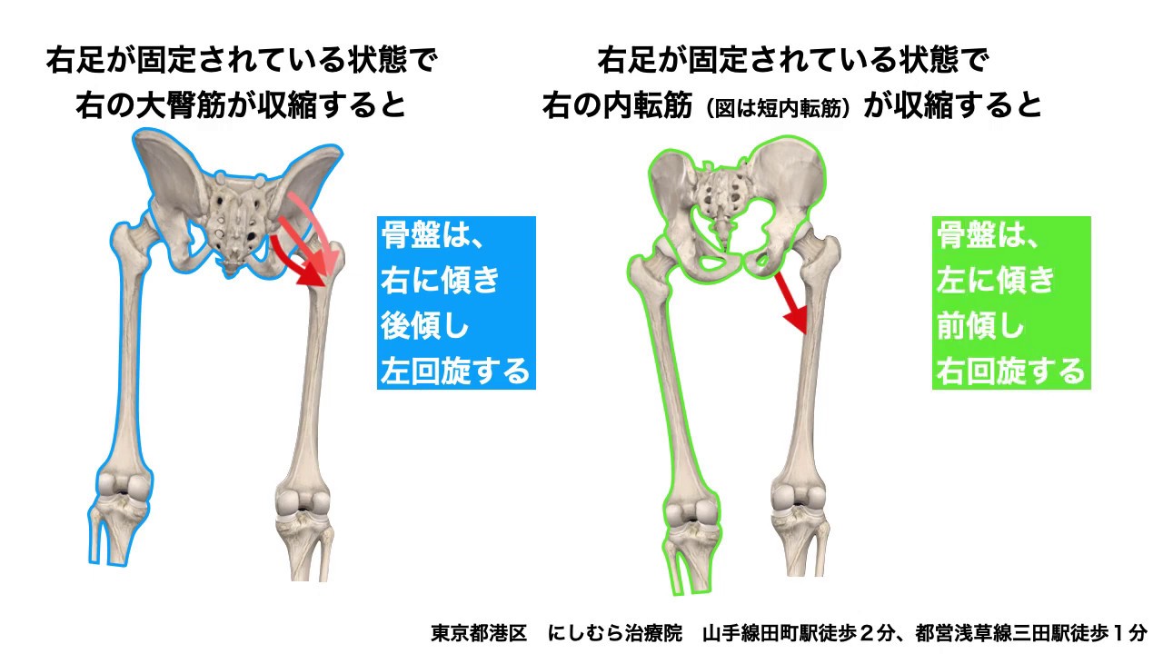 大特価⭐️レッグスライド 内転筋・骨盤底筋・大臀筋強化 静音 折りたたみ Amazon.co.jp: レッグスライド 内転筋・骨盤底筋・大臀筋強化