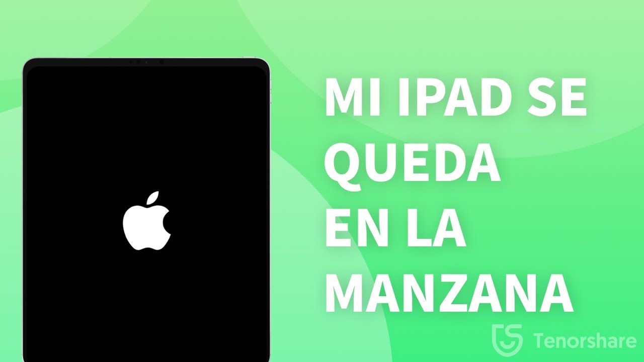 Details 48 mi ipad se queda en el logo de la manzana