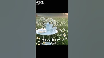 سوره تعدل ثلث القرآن؟