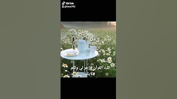 سوره تعدل ثلث القرآن؟