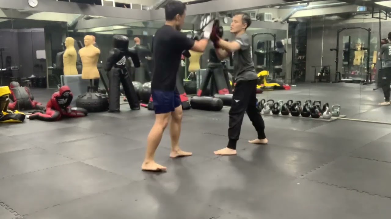 복싱룰 라이트스파링