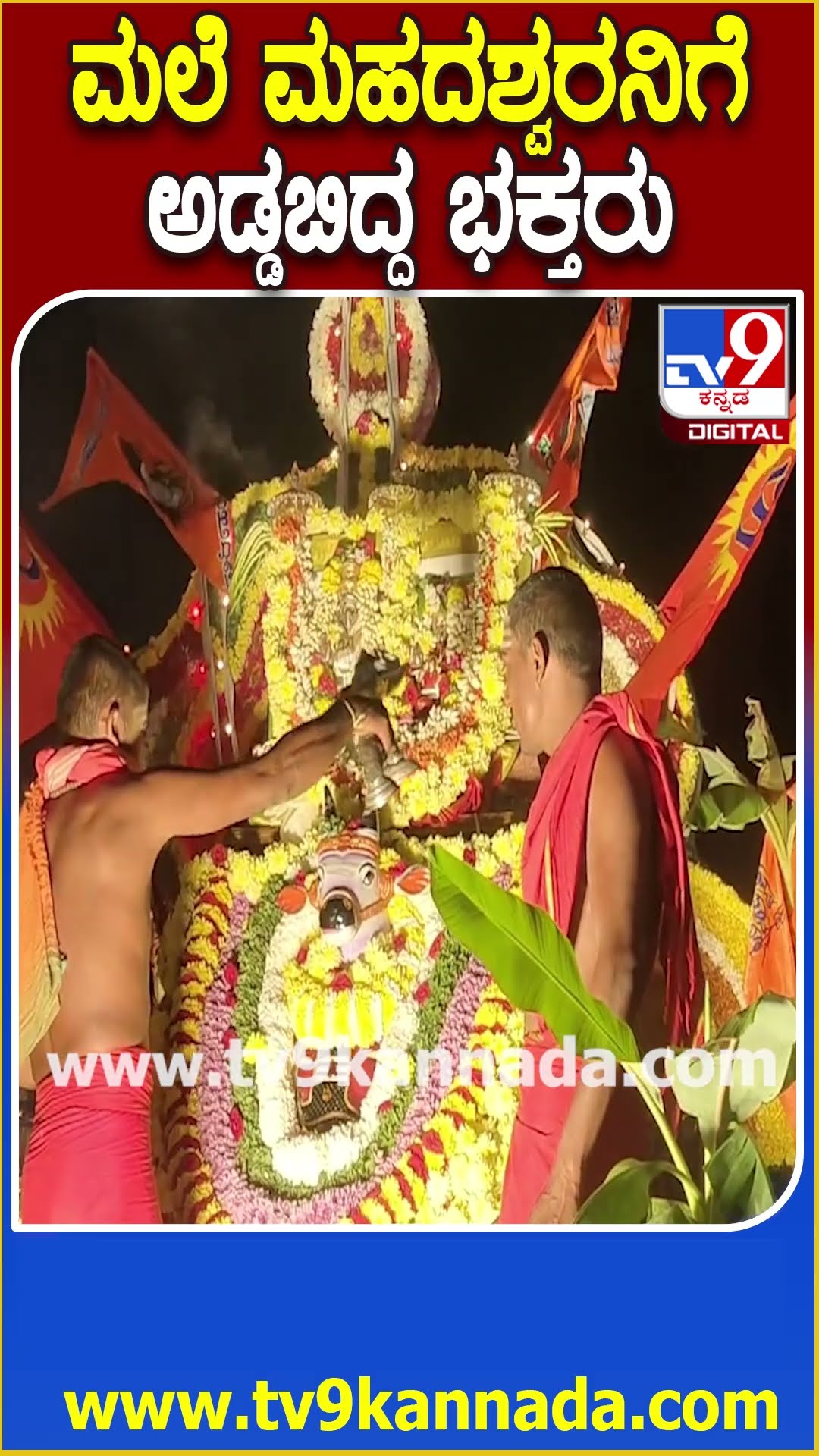 ಶಿವರಾತ್ರಿ ಸಂಭ್ರಮ- ಮಲೆ ಮಹದೇಶ್ವರನ ದರ್ಶನಕ್ಕೆ ಬಂದ ಭಕ್ತರು| #TV9D