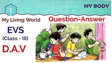EVS, My Body, solution, Class III, My Living World, DAV Public School, Chapter 1