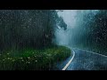 Barulho de Chuva na Floresta Úmido para Dormir e Aliviar a Insônia - Cura do Estresse com ASMR Chuva