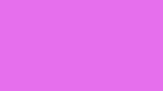 VIOLET (WEB) SCREEN | 4K Solid Color Background | EE82EE