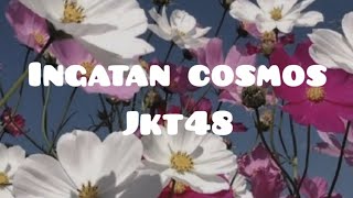 ingatan cosmos jkt48 viral tiktok