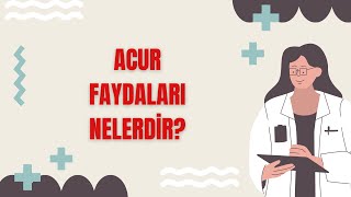 What are the Benefits of Gherkin? Here are its Amazing Benefits