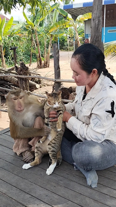 Best SokYaa,OG, ToTo Animals Are So Awesome #shorts