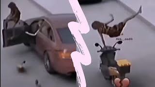 Incredible Moments Caught on Camera 2023 Extraordinary Achievements