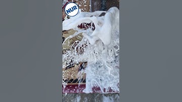 Foam scraping #65 #satisfying #asmr #carpetcleganin #shorts #carpetcleaning #oddlysatisfying