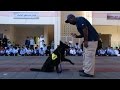 عرض الكلاب البوليسية ضمن فعاليات اليوم الوطني 43 بمدرسة حمودة بن علي