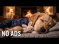 Leave Home Worry-Free! 🐶 12H Dog Calming Music for Severe Separation Anxiety &amp; Deep Sleep