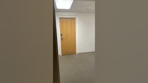 Duck Chasing Kids (VIRAL DUCK VIDEO) (Original Video) Over 1Million likes and 10+ million views