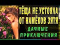 ТЕЩА И ЗЯТЬ – УСТРОИЛА СЛЕЖКУ. Интересные истории из жизни. Удивительные истории про тёщу. Рассказ