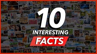10 Interesting Things You Probably Didn't Know