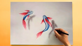 Floating Fish Drawing 3D ✅ 3D Acquriam Fish Floating on Paper
