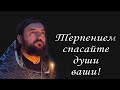 Современный человек - человек страдающий. Протоиерей  Андрей Ткачёв.