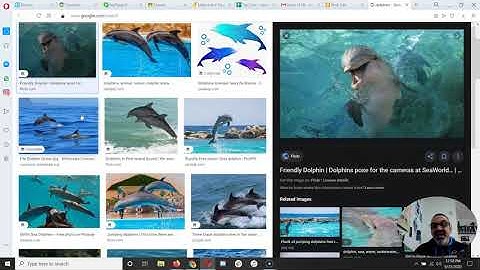 Adding Creative Commons Images to Blogger Blog Posts