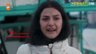 Ti trego det i zi episodi 5 pjesa 1