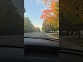 #canada #videography #nature #autumn
