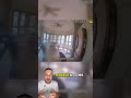 A coragem de um cão