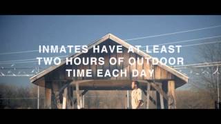 Persil Free The Kids