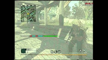COD4: Flying Turnips v3 Control menu + download and hosting free tenth lobby and giving R2R mod menu
