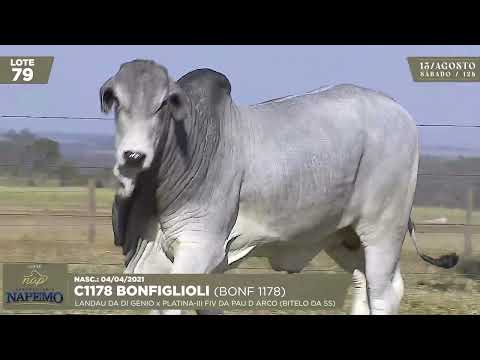 LOTE 79   C1178 Bonfiglioli   BONF 1178