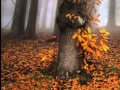 Sarah Brightman Memory Sarah Brightman Memory