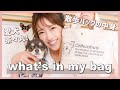 【バッグの中身】愛犬と散歩する時の中身を紹介します！【what's in my bag?】