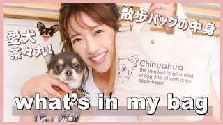 【バッグの中身】愛犬と散歩する時の中身を紹介します！【what's in my bag?】