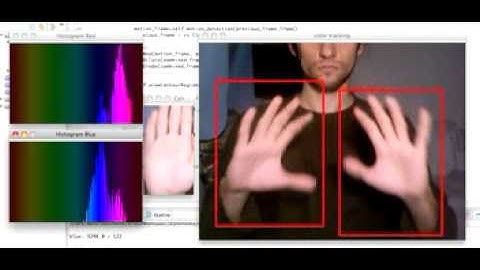 Skin Color Tracking