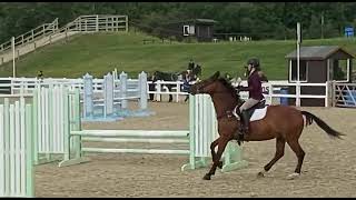 BSJA Senior 85cm