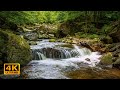 4K Video Ultra HD Romantic Music - Most Beautiful Romantic Piano Music