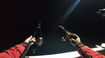 TRIK MANCING CUMI DAN IKAN MALAM HARI SAAT ARUS LAUT KENCANG ( BOTTOM FISHING )