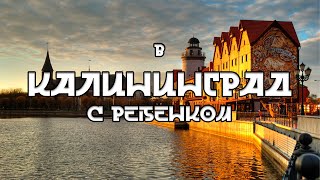 картинка: В Калининград с ребенком. Часть первая.