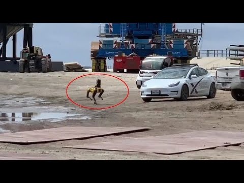 Vídeo: Carenagem Recuperada Da SpaceX Avistou Embarcação No Porto De Steven