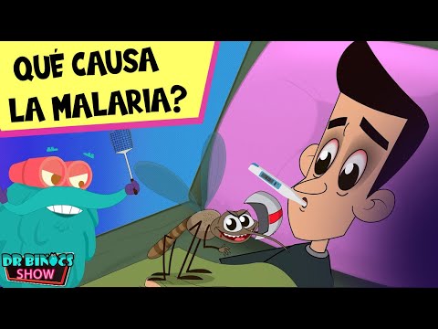 Video: Tres formas de prevenir la malaria