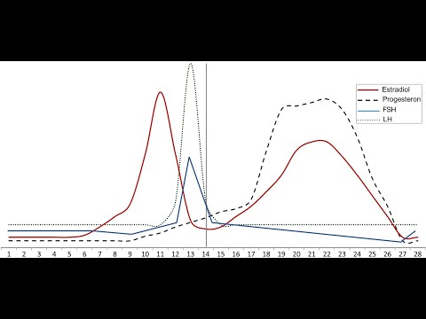 Video: Rozdíl Mezi Ovariálním Cyklem A Menstruačním Cyklem