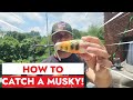 How to catch a musky  a beginners guide