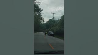 pesona jalan lintas tengah lubuk Jambi,riau-sinunjung,Sumbar.