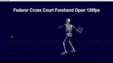 Roger Federer forehand cross court backside view 120 fps