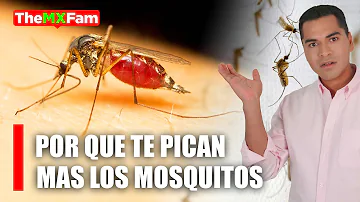 ¿Pican los mosquitos a través de los vaqueros?